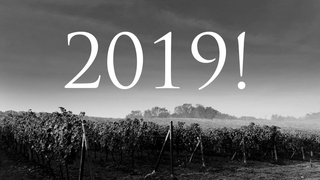 Valné zhromaždenie - Cech vinohradníkov a vinárov Slovenska